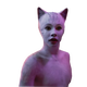 Image for article titled 'Shop Contest: OH GOD, CATS!